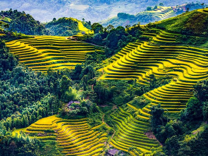 Cơ Hội Khởi Nghiệp Mới Cho Cựu Chiến Binh: Hotspot Matrix