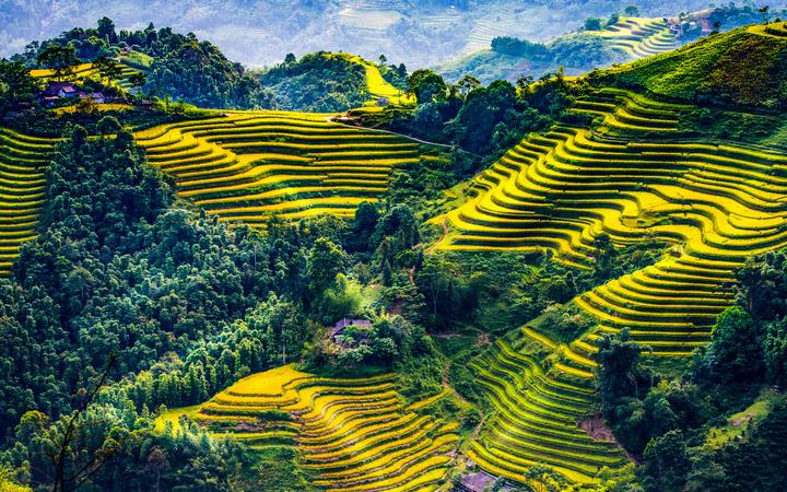 Hotspot Matrix: Biến Cơ hội học bổng “khủng” lên thành cơ hội marketing đột phá