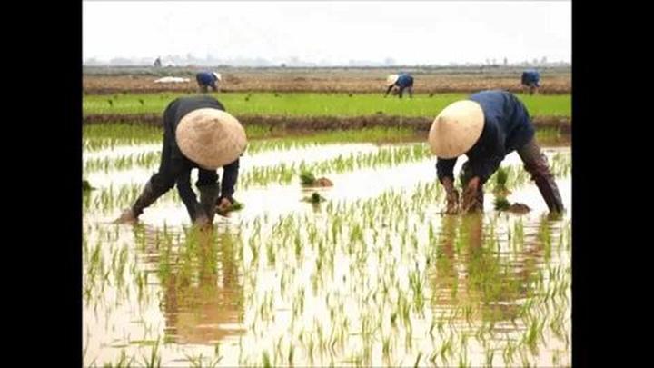 Loại cá được khen 