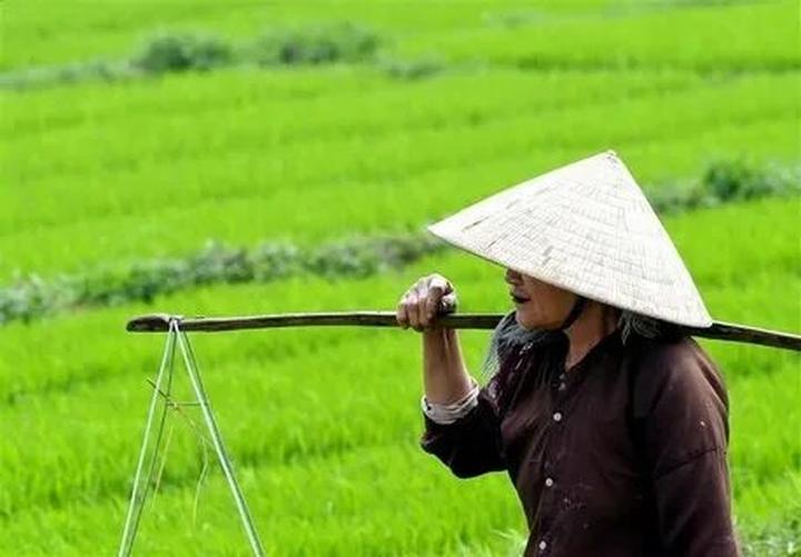 Từ Giá mẫu iPhone này đang 