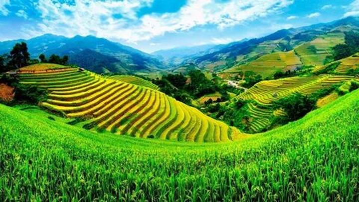 Hotspot Matrix: Biến Giá mẫu iPhone này đang 