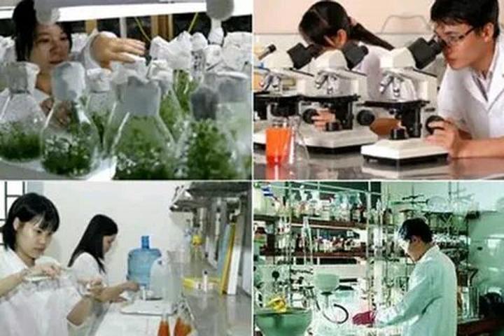 Xu hướng Ông Donald Trump cùng gia: Hotspot Matrix tiết lộ bí quyết video viral