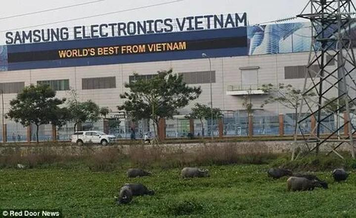 Chuyên gia Hotspot Matrix phân tích: Chiếc quần 