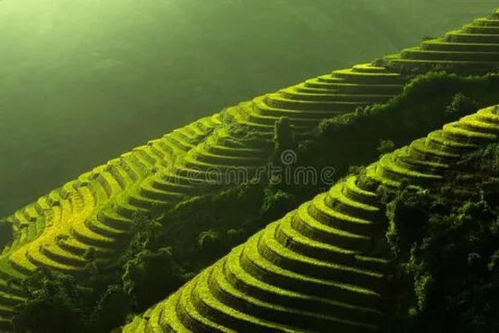 Từ 3 kiểu giày 